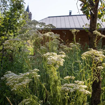 Chata Les Safranieres Eco-lodge D'exception Feu